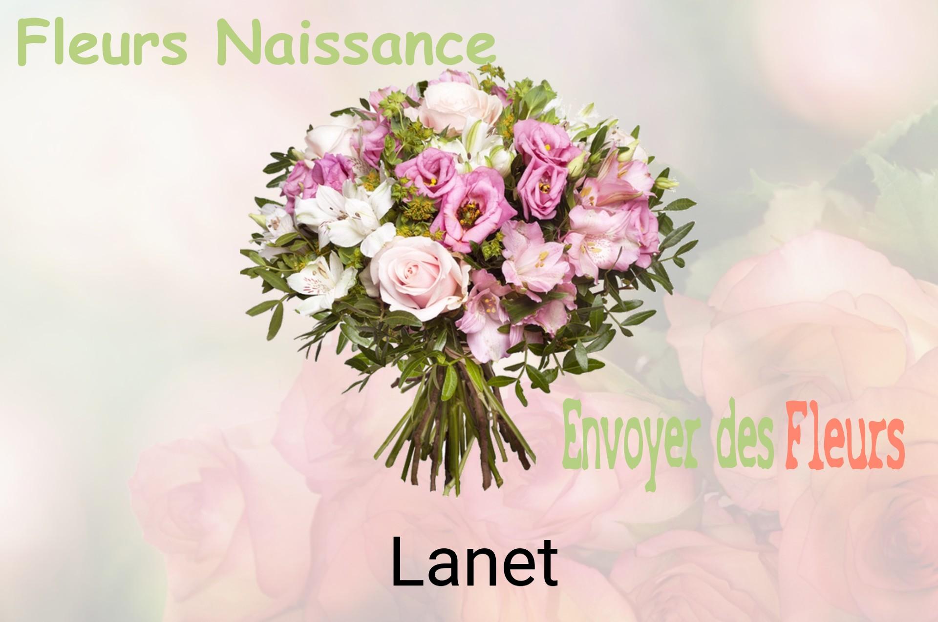 Bouquet de fleurs de naissance livré à Lanet